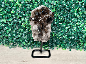 SMOKY QUARTZ | FREEFORM