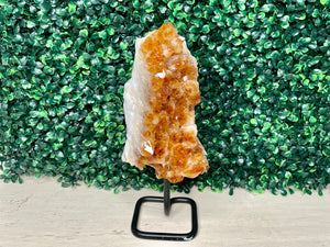 CITRINE | FREEFORM