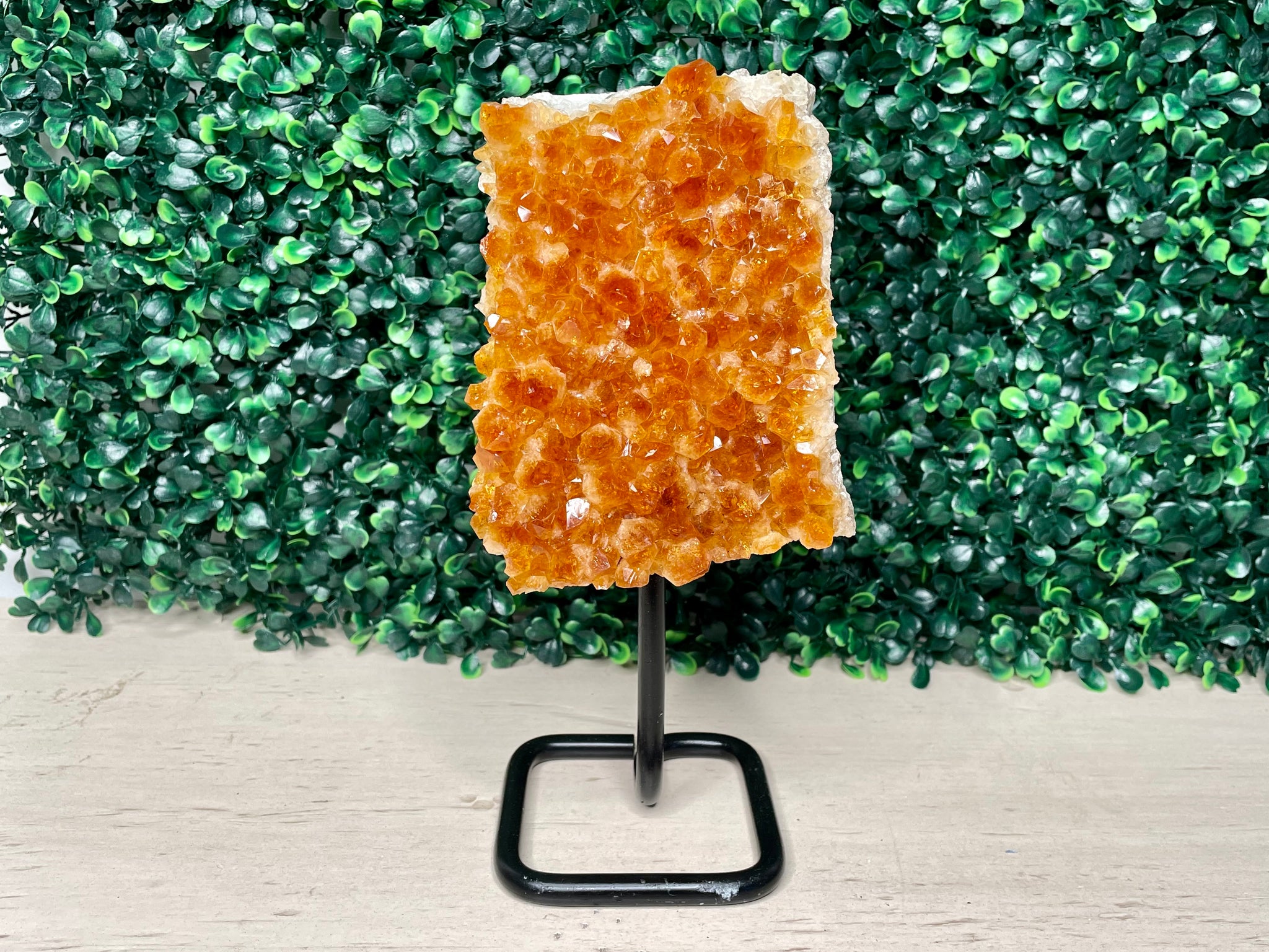 CITRINE | FREEFORM