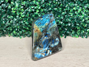 LABRADORITE | FREEFORM