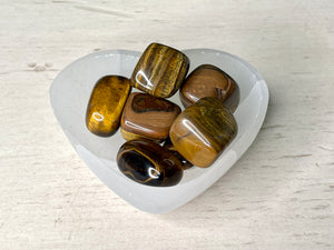 TIGER'S EYE GOLD | TUMBLED