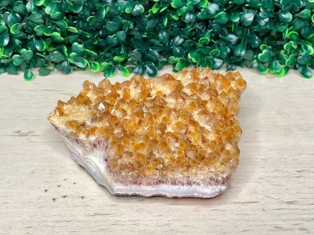 CITRINE | FREEFORM