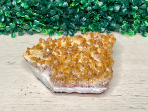 CITRINE | FREEFORM