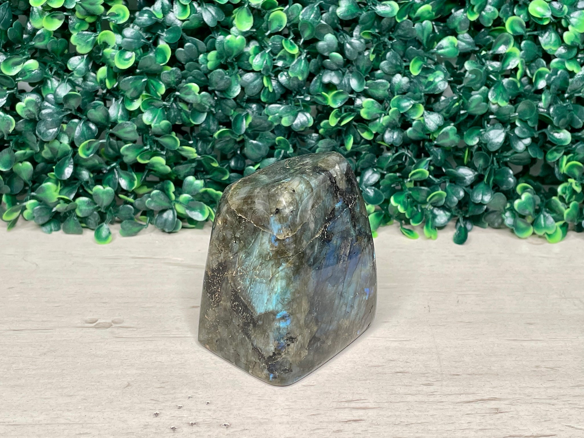 LABRADORITE | FREEFORM