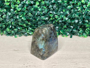 LABRADORITE | FREEFORM