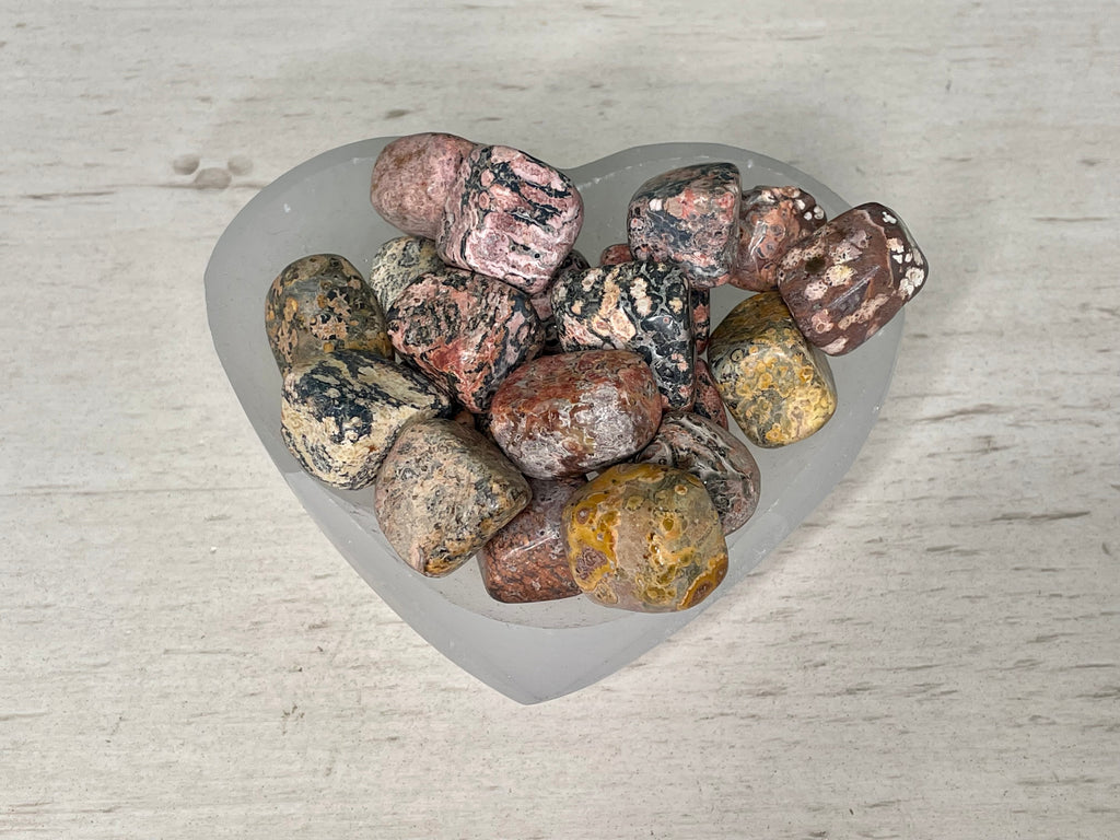 LEOPARD SKIN JASPER | TUMBLED