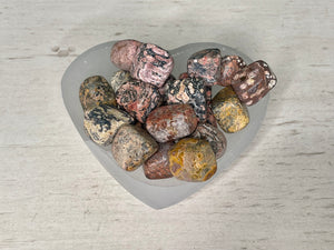 LEOPARD SKIN JASPER | TUMBLED