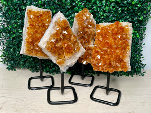 CITRINE | FREEFORM