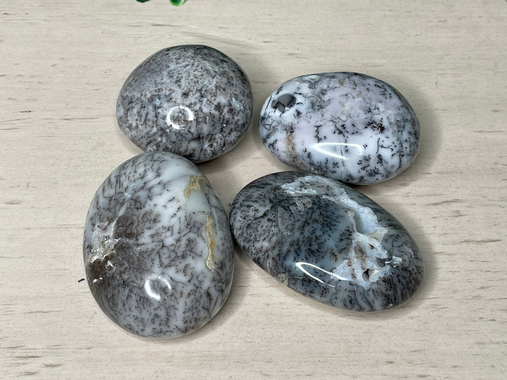 DENDRITIC OPAL | PALM STONE