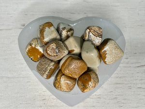 PICTURE JASPER | TUMBLED