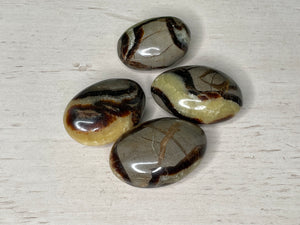 SEPTARIAN | PALM STONE