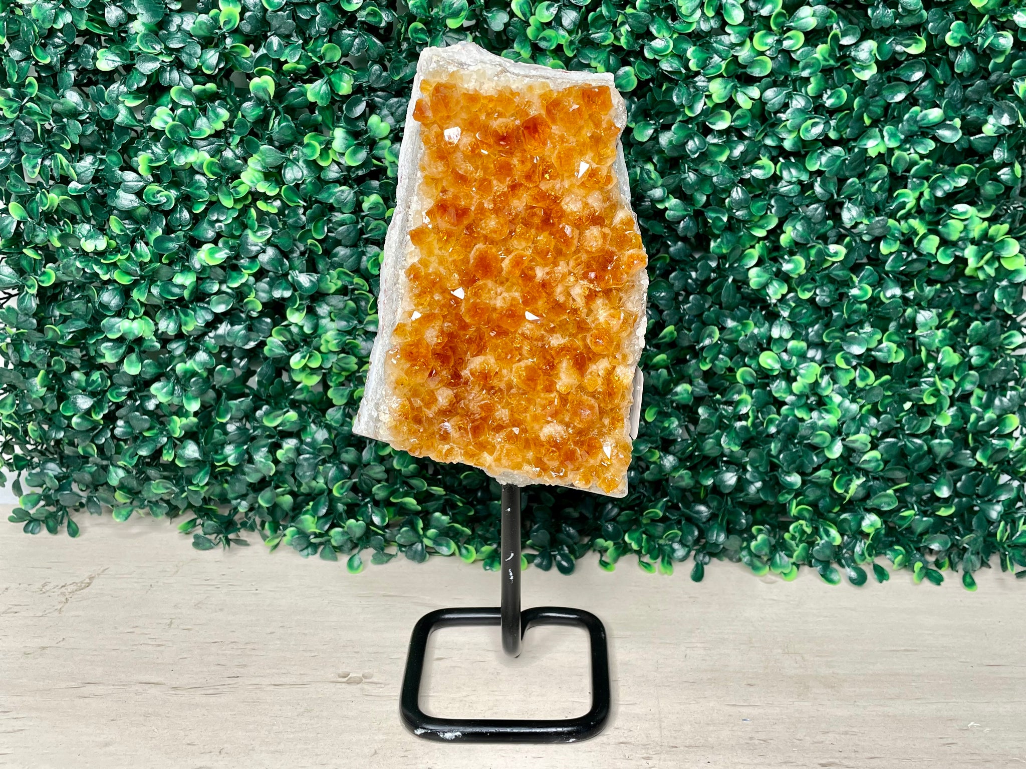 CITRINE | FREEFORM